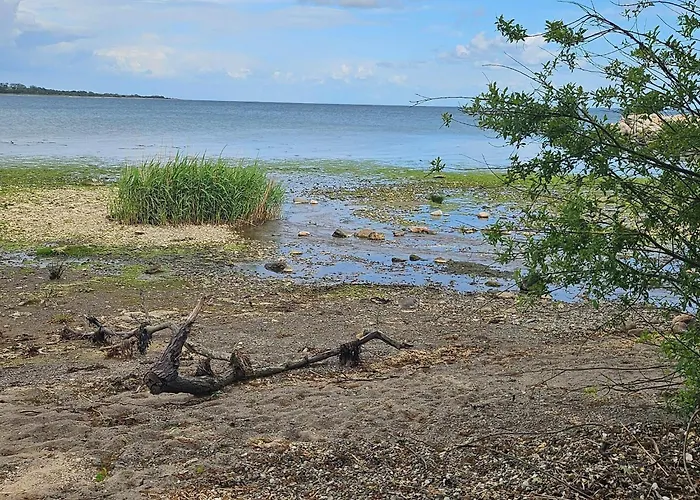 8 Person In Aabenraa-by Traum بيت للعطل أبينرا